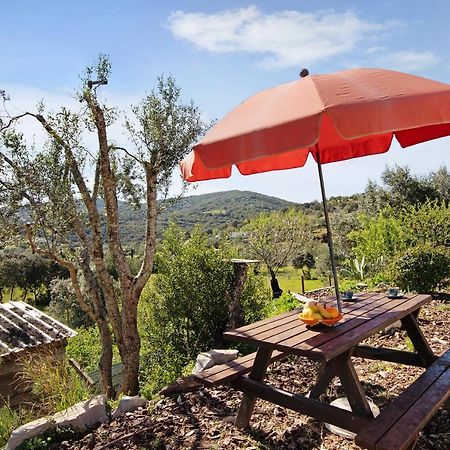 Casa Tibagota Guest House Sao Bras de Alportel Ngoại thất bức ảnh